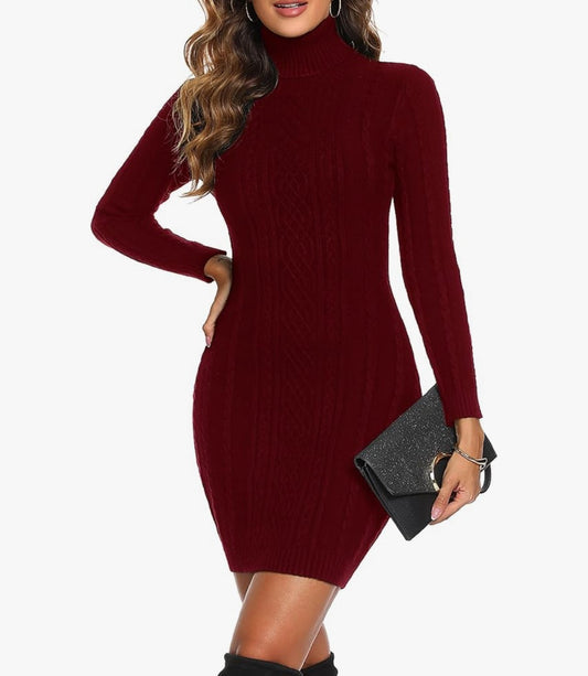 Knitted Turtleneck Dress in Wine Red